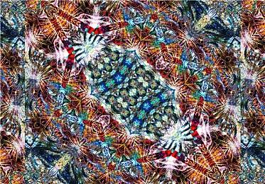 饭制《艾尔登法环》地理猜测 检验你对游戏的了解！